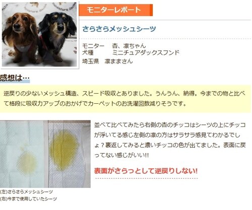 厚型 さらさらメッシュシーツ ダブルワイド 枚入り P Mpns dw 単品 4個セット Pf アイリスプラザ アイリスオーヤマ公式通販サイト 厚型 さらさらメッシュシーツ ダブルワイド 枚入り P Mpns dw 単品 4個セット Pf アイリスプラザ アイリスオーヤマ公式通販サイト