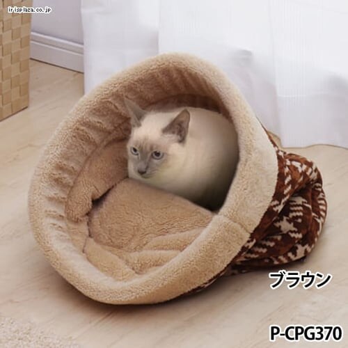 Lbg|Pbg STCY P-CPG370 sN_4