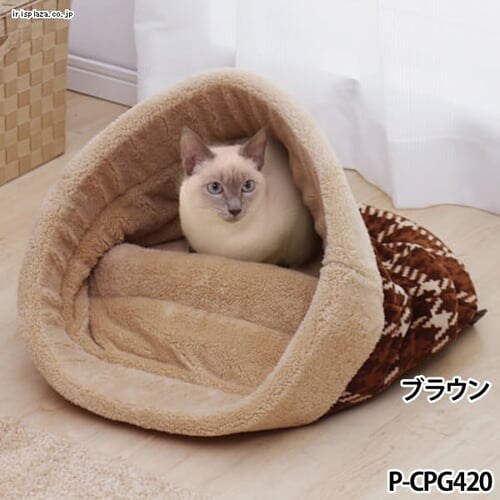 Lbg|Pbg STCY P-CPG370 sN_5