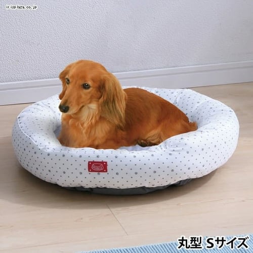 クールソファベッド