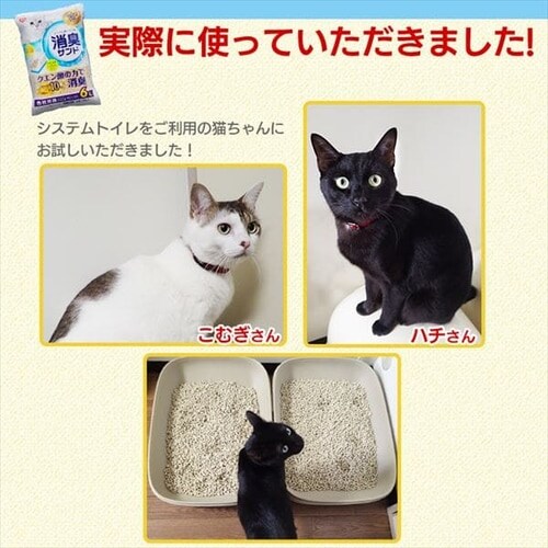 システム猫トイレ用 におわない消臭サンド クエン酸入り 6L TIA-6C P515719F│アイリスプラザ│アイリスオーヤマ公式通販サイト