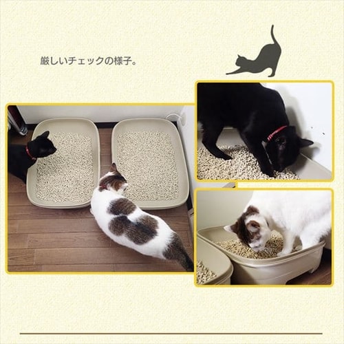 システム猫トイレ用 におわない消臭サンド クエン酸入り 6L TIA-6C P515719F│アイリスプラザ│アイリスオーヤマ公式通販サイト