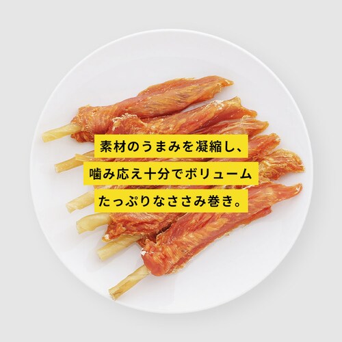 ܂邲ƓW[L[K 40{ P-IJ-GT40   f^PA_2