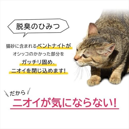しっかり固まる猫砂 10L【3袋セット】 P523244│アイリスプラザ│アイリスオーヤマ公式通販サイト
