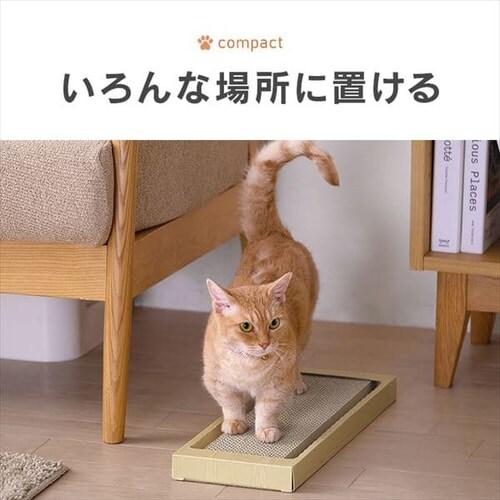 L̂߂Ƃ X^Cv NTST-1P uE_4