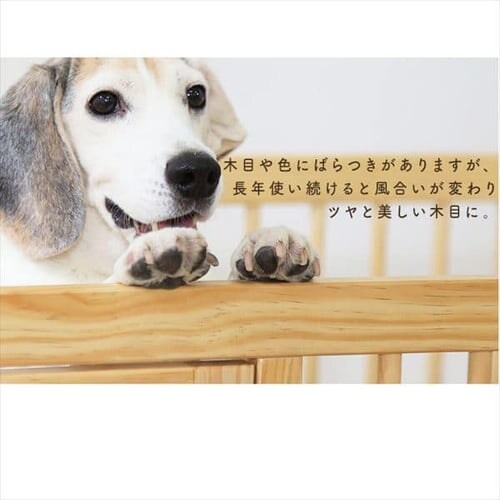 y15%OFFzy󂠂zi`EbhT[N i` NWC-1260_5