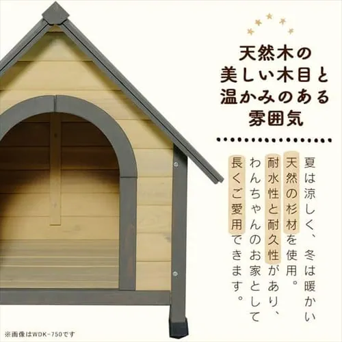 EbfBɁ@WDK-600_2