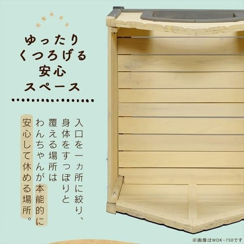 EbfBɁ@WDK-600_3
