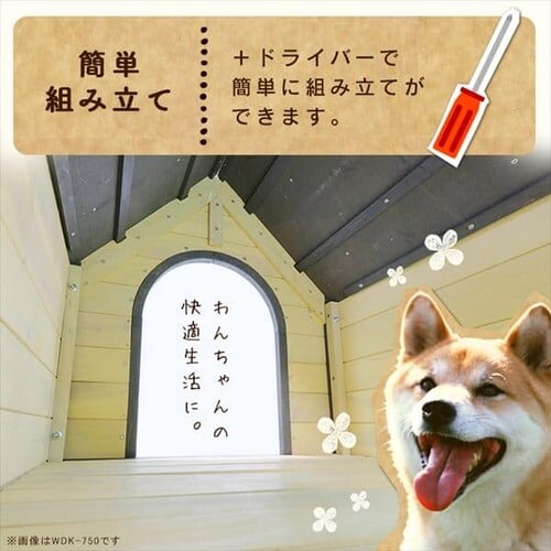 EbfBɁ@WDK-600_9