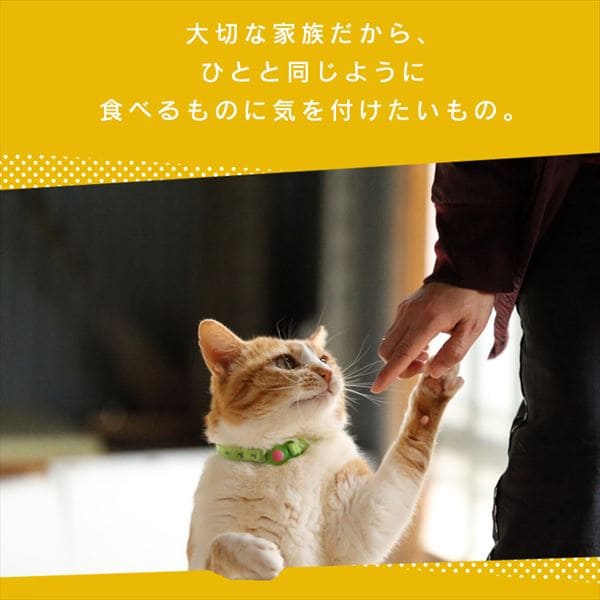 ねこ用ナピューレ 鶏ささみ 24本セット Pf アイリスプラザ アイリスオーヤマ公式通販サイト
