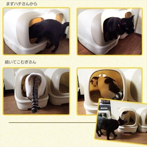 マーケット システム猫トイレ用砂 クエン酸入り 香り付き 6L TIA-6CK<br>猫 ネコ キャット システムトイレ用におわない消臭サンド 消臭 脱臭 猫トイレ 猫用トイレ せっけん アイリスオーヤマ ゼオライト シリカゲル システム猫トイレ用砂 クエン酸入り 香り付き 6L TIA-6CK 猫 トイレ トイレ砂 ゼオライト シリカゲル システムトイレ用 におわない 消臭 サンド 脱臭 ネコトイレ ねこすな せっけん あす楽