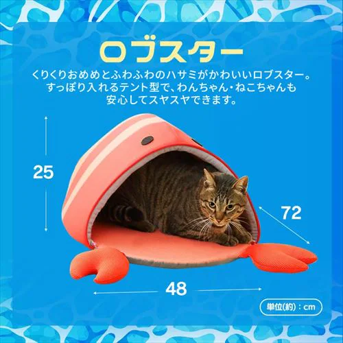 `[tybgxbh JbN _11