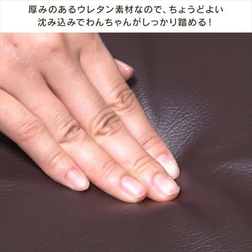 ybgXebv P|STM }X^[h_7