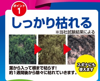 しっかり枯れる　スギナにも使えます