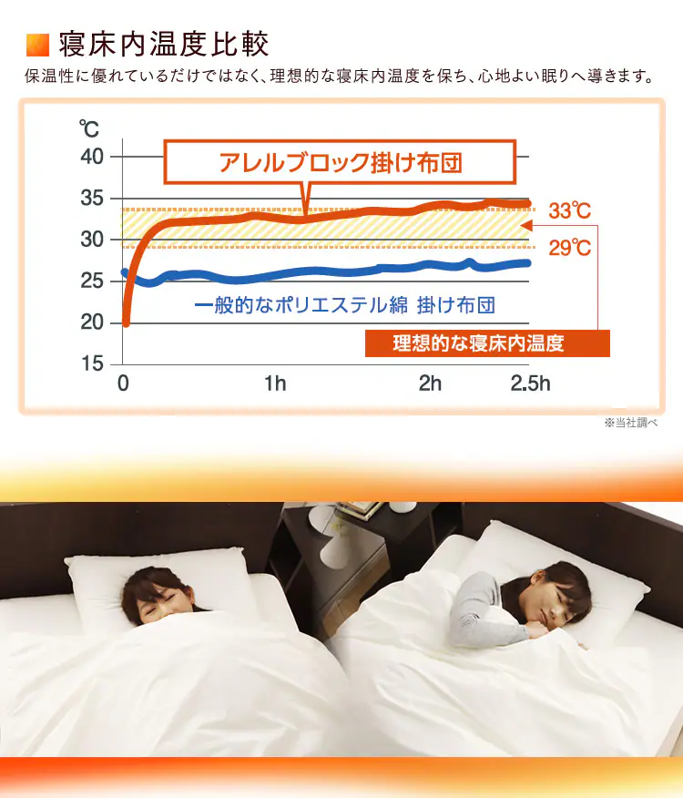 アレルブロック 掛布団