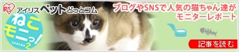 lZT[t 啗ʃZ~bNt@q[^[j^[|[g