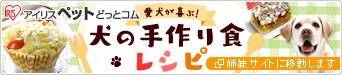 񂿂̎背Vs͂NbNI(oTCgɈړ܂)