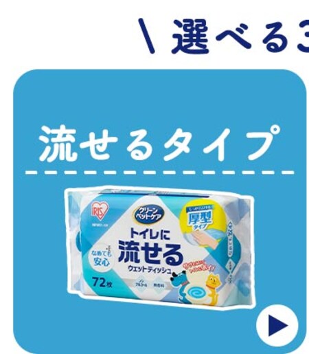 ������^�C�v