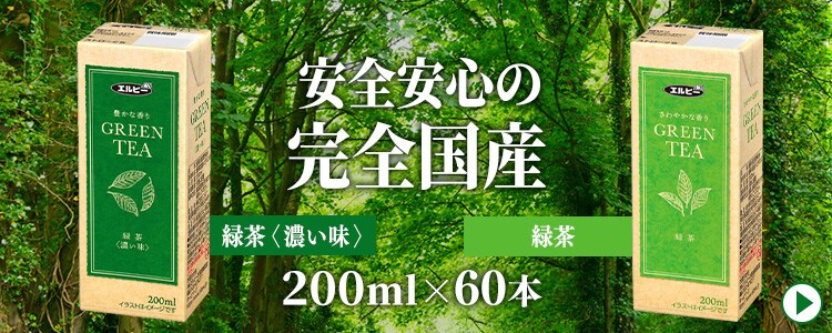 緑茶60本