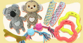 ���p��������