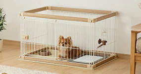 �X�^�[�^�[�Z�b�g