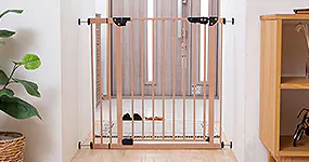 �Q�[�g�E�t�F���X