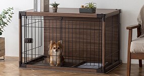 �T�[�N���E�P�[�W