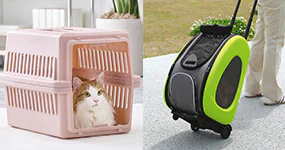 �L�����[�E�J�[�g