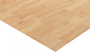 �t���[�����O�V�[�g