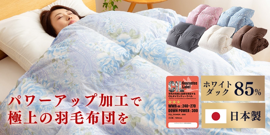 おしゃれ 【送料無料】西川 羽毛掛けふとんブルー １３４３−５４４６３【ギフト館】 通販