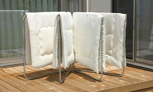 �z�c����