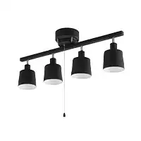 4���V�[�����O���C�g