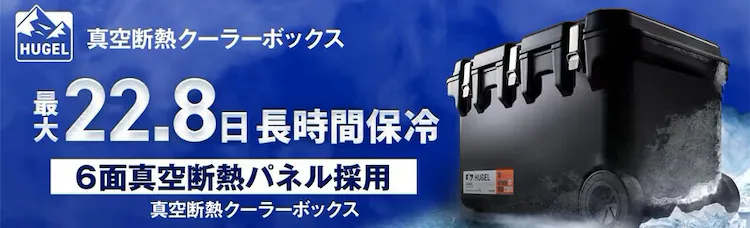 �^��f�M�N�[���[�{�b�N�X