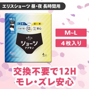 sv12HEYS@GXV[c E ԗp ubNJ[4 M`L