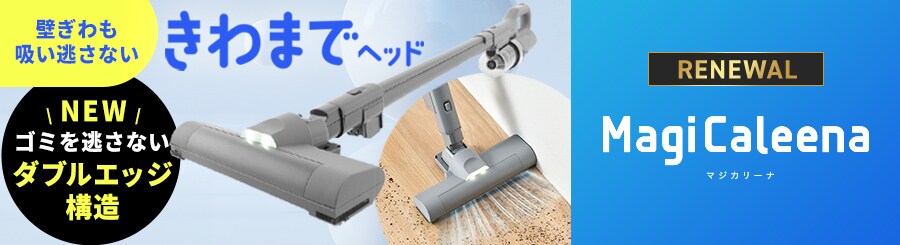 �X�^���_�[�h���f��