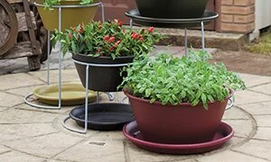 ���E�v�����^�[