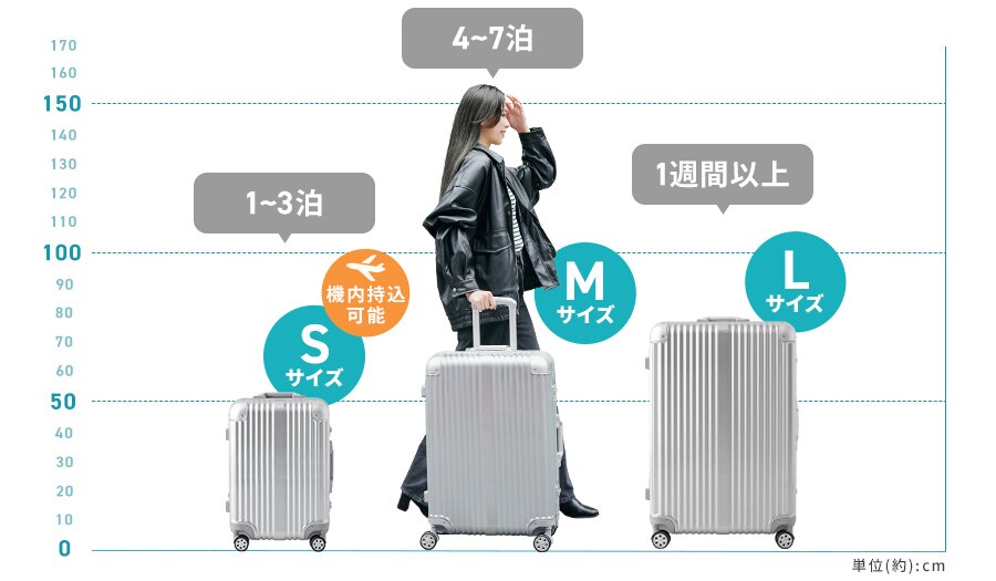 �X�[�c�P�[�X�T�C�Y�̖ڈ�