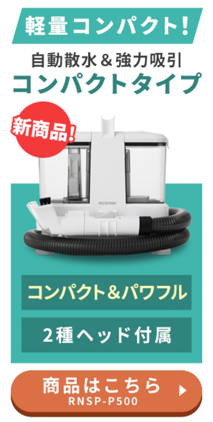 【2点セット】リンサークリーナー RNS-300+スチームクリーナー STM-3032