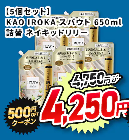 y5ZbgzKAO IROKA XpEg 650ml l 500~OFFN[|