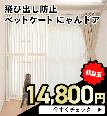 яoh~ybgQ[g ɂhA ڋʉi 14,800~