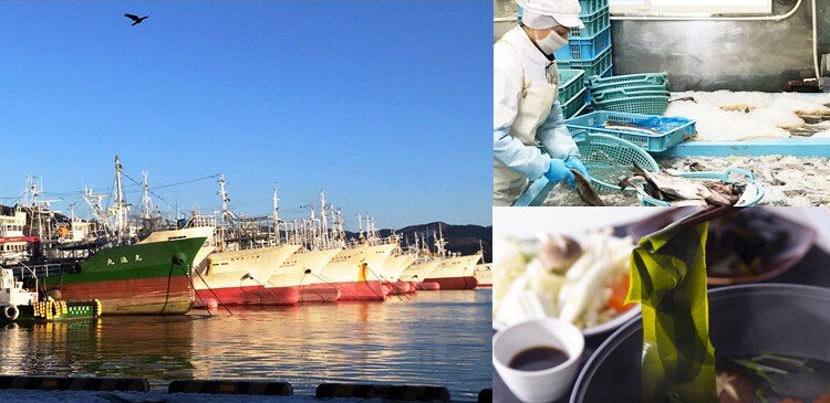 朝水揚げされた海産物を新鮮なその日のうちに加工