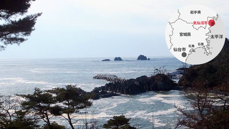 三陸の海で育った純国産品質