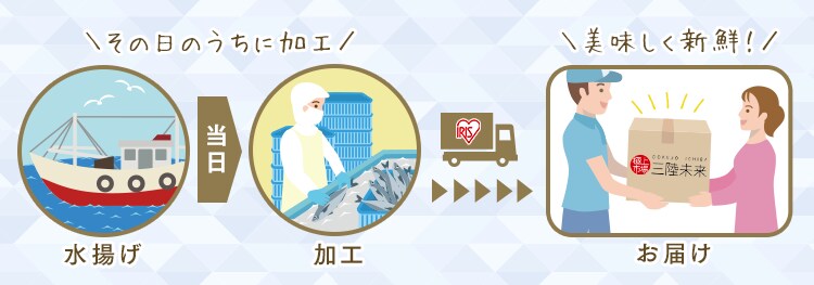 朝水揚げされた海産物を新鮮なその日のうちに加工