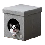 xbhEnEX