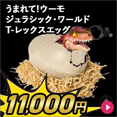 ܂!E[ WVbNE[h T-bNXGbO