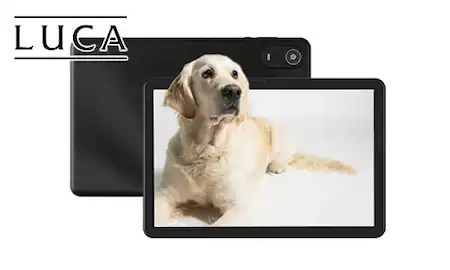 10C` 4GB 64GB