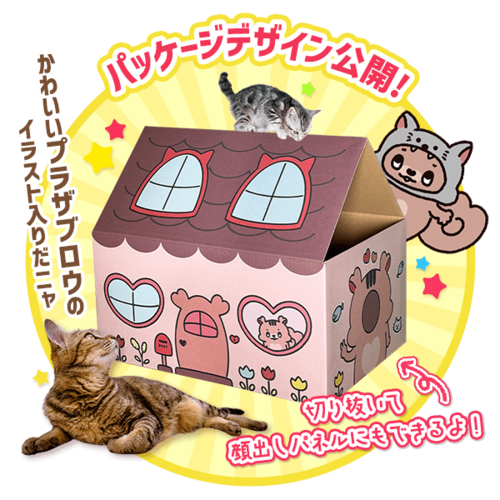 アイリスプラザ猫の日企画