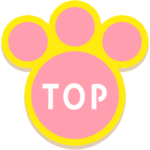 TOP�ɖ߂�