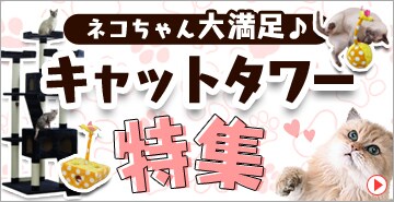 �L�����喞���@�L���b�g�^���[��W���I