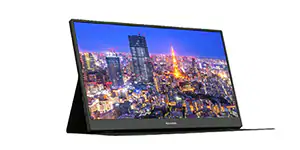 �o�C�����j�^�[